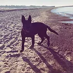 Διαμέρισμα Comfort - Sea Comfort I Z Tarasami Na Dachu, Widokiem Na Morze, 50 M Od Plazy Rowy (Pomerania)