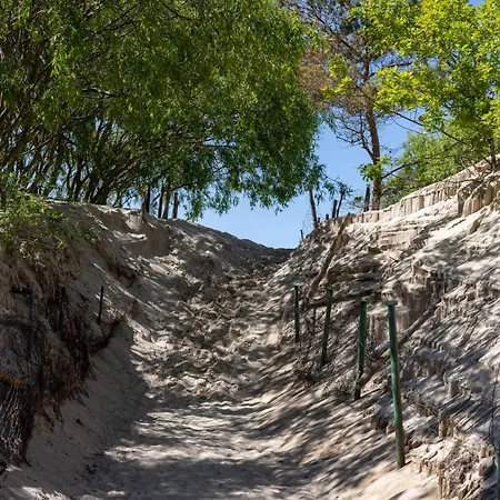 Comfort - Sea Comfort I Z Tarasami Na Dachu, Widokiem Na Morze, 50 M Od Plazy * Rowy (Pomerania)