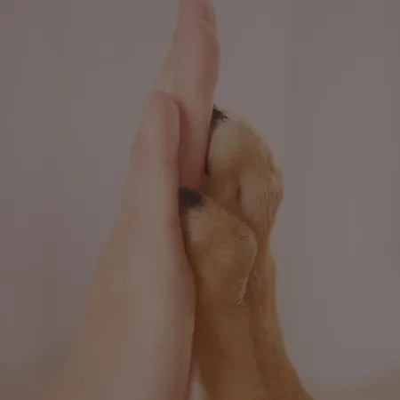 Lägenhet Comfort - Sea Comfort I Z Tarasami Na Dachu, Widokiem Na Morze, 50 M Od Plazy Rowy (Pomerania)