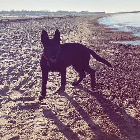 Lägenhet Comfort - Sea Comfort I Z Tarasami Na Dachu, Widokiem Na Morze, 50 M Od Plazy Rowy (Pomerania)