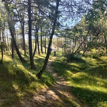 Comfort - Sea Comfort I Z Tarasami Na Dachu, Widokiem Na Morze, 50 M Od Plazy *