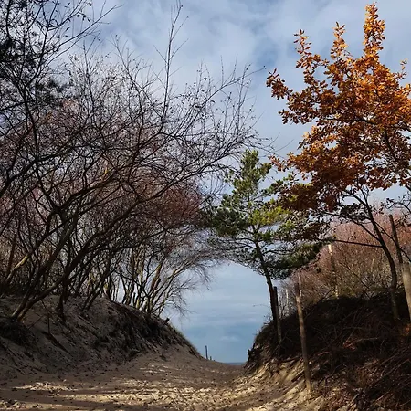 Comfort - Sea Comfort I Z Tarasami Na Dachu, Widokiem Na Morze, 50 M Od Plazy