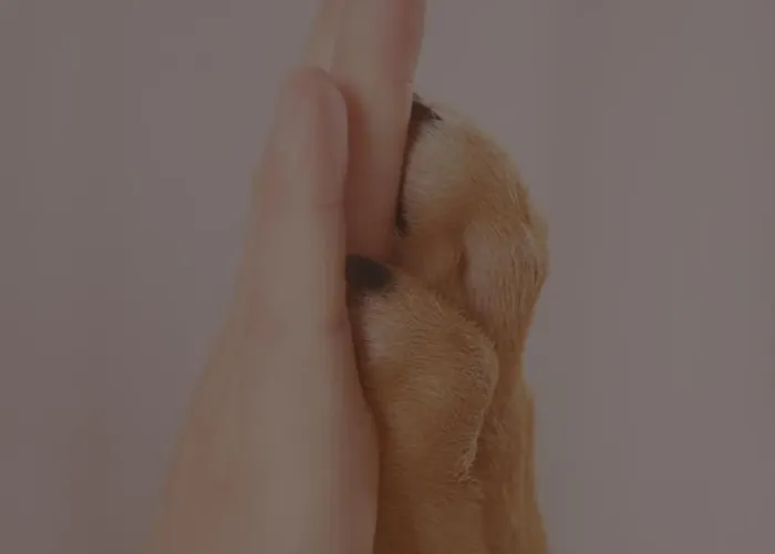 Apartmán Comfort - Sea Comfort I Z Tarasami Na Dachu, Widokiem Na Morze, 50 M Od Plazy Rowy (Pomerania)