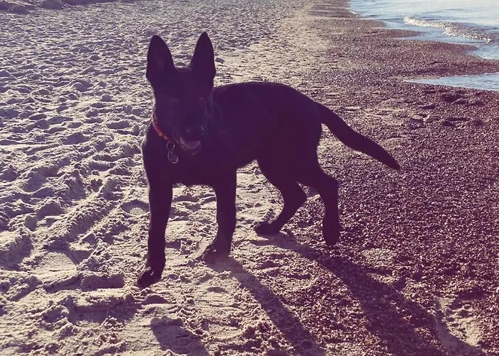 Apartmán Comfort - Sea Comfort I Z Tarasami Na Dachu, Widokiem Na Morze, 50 M Od Plazy Rowy (Pomerania)