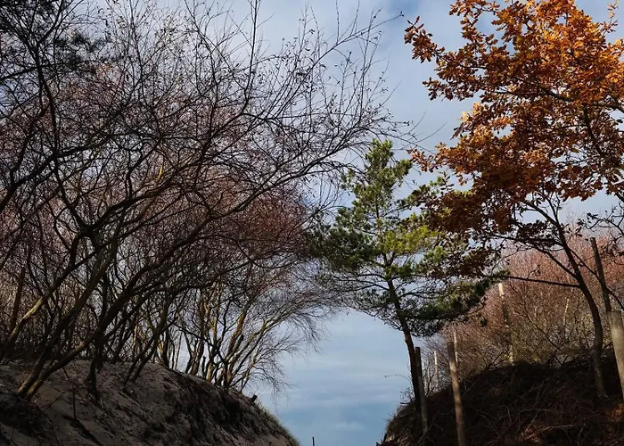 Comfort - Sea Comfort I Z Tarasami Na Dachu, Widokiem Na Morze, 50 M Od Plazy